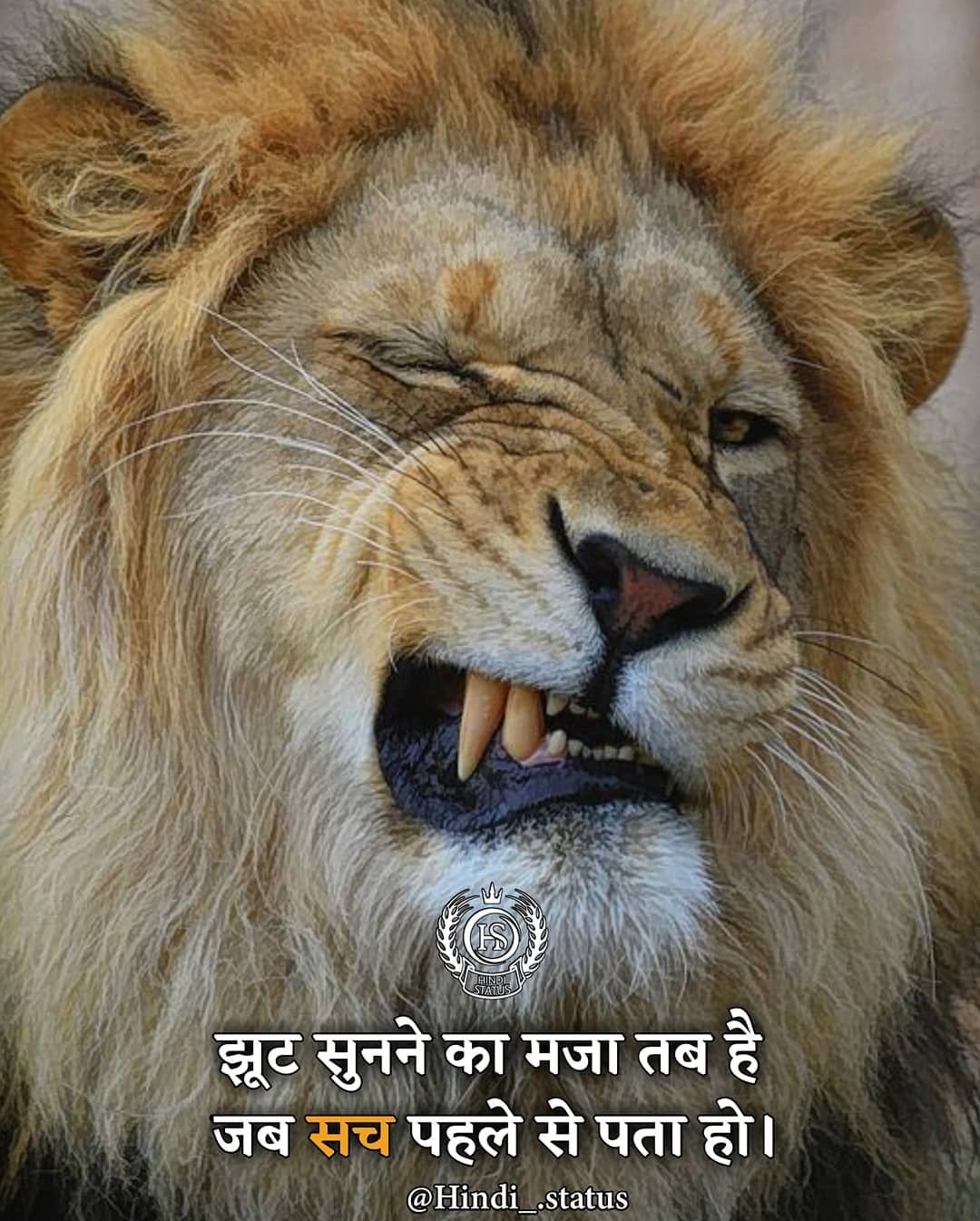 Грустный Лев