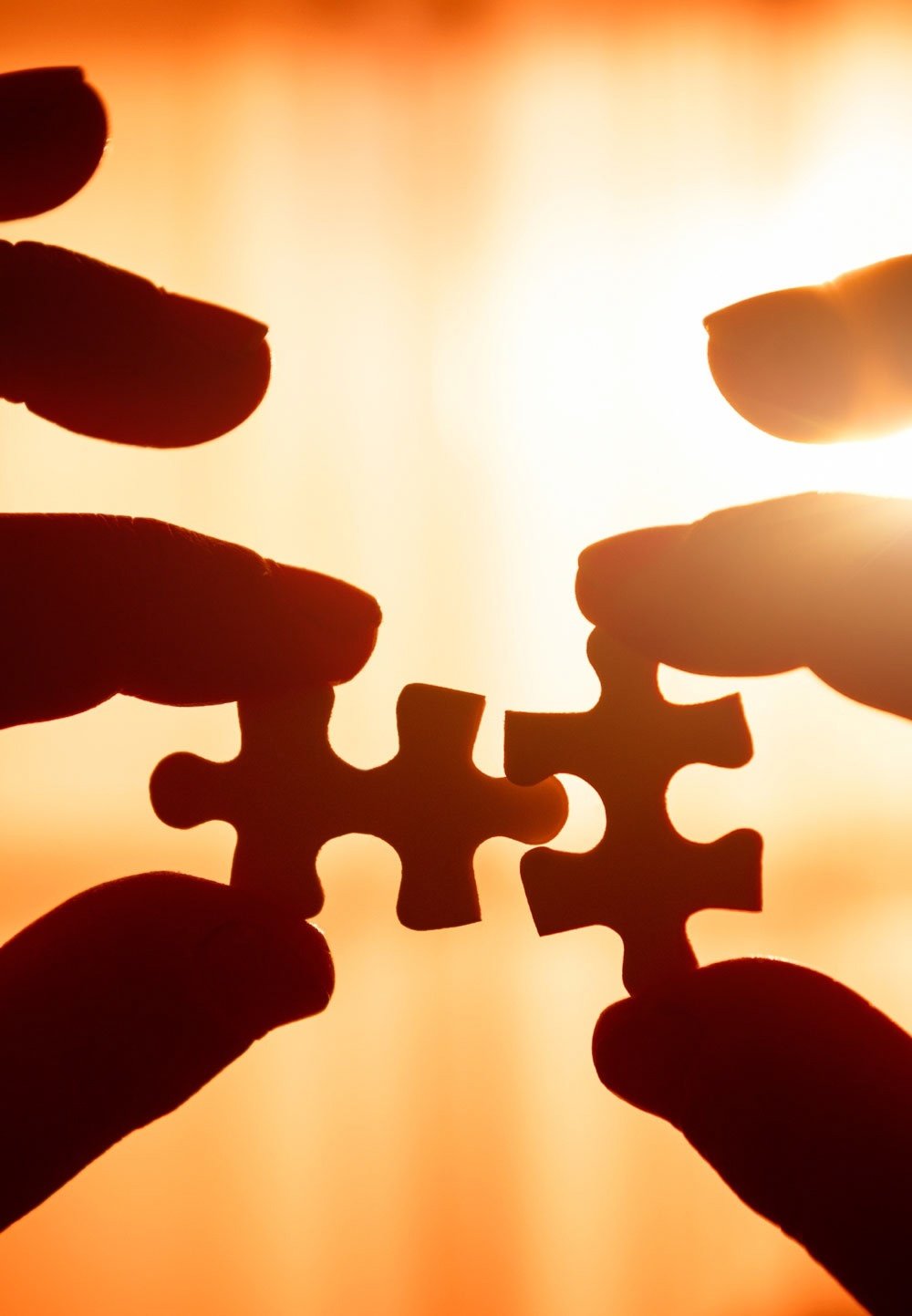 Ценности картинки