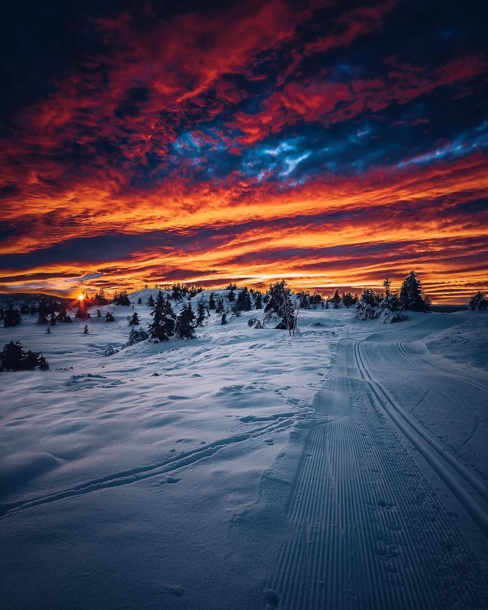 Рассвет зимой