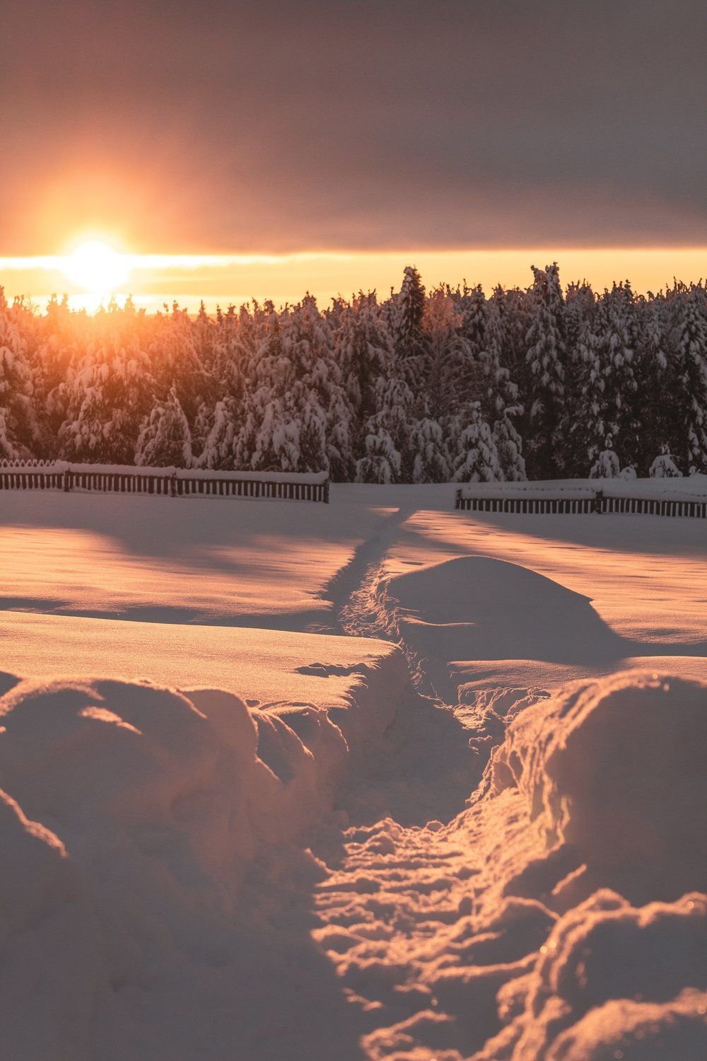 Зимний рассвет в деревне