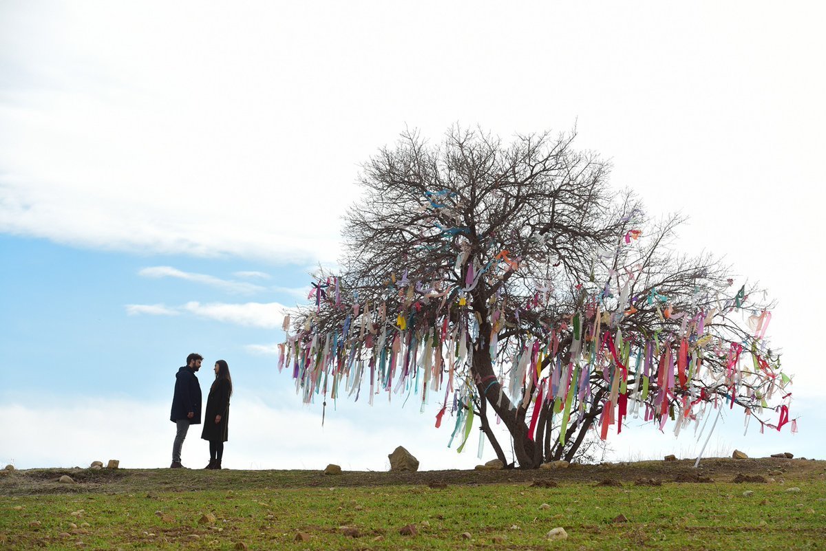 Дерево пожеланий надпись