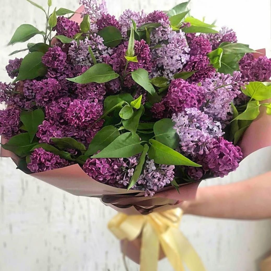 Букет из сирени