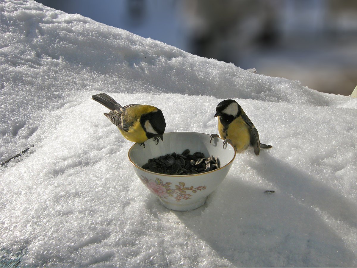 Кормушка "синичка"