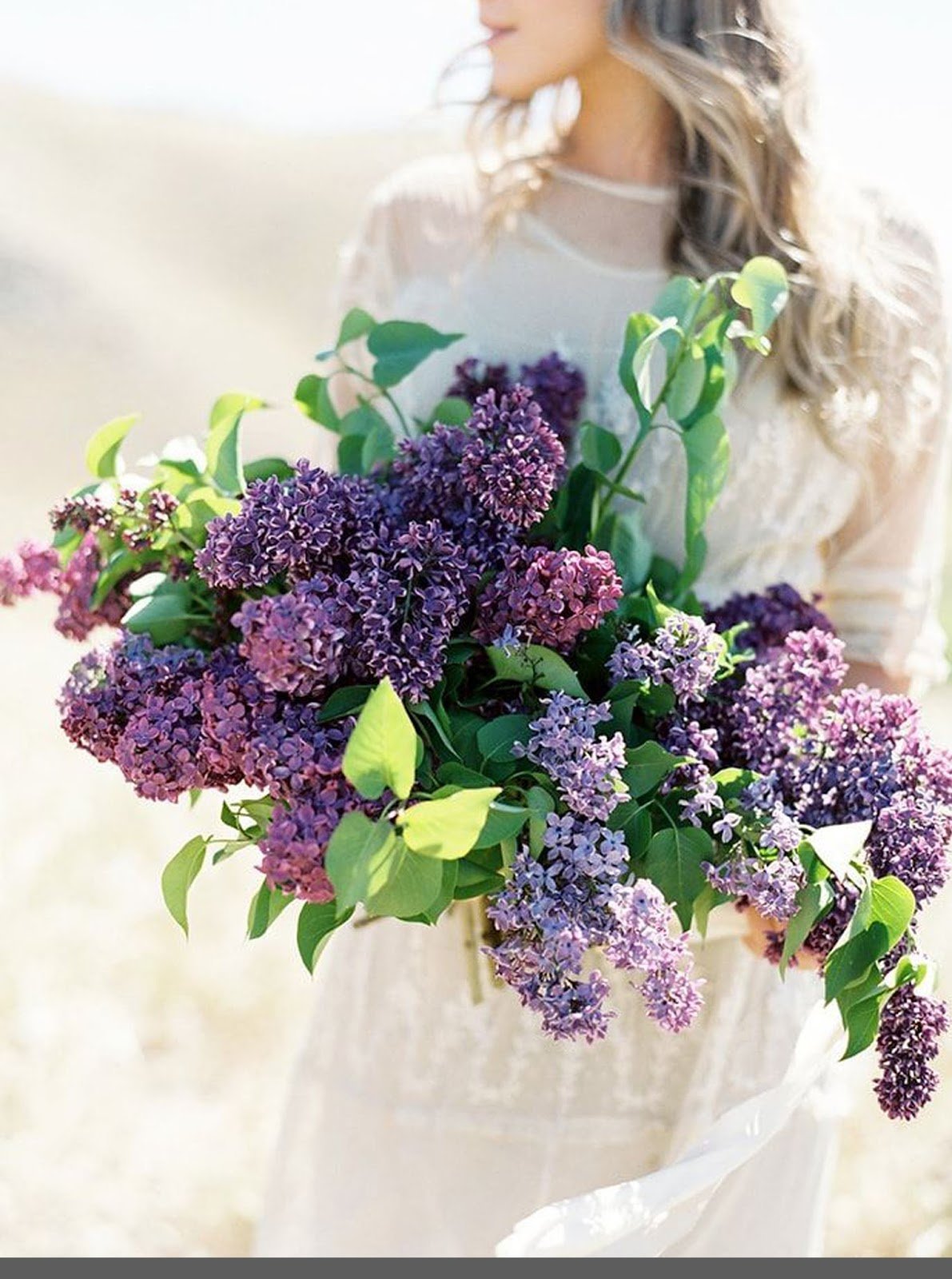 Букет сирени