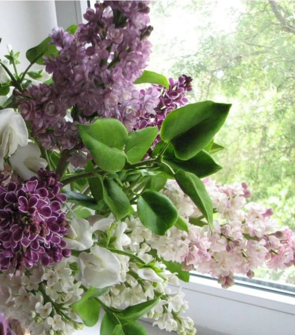 Букет Жасмин и сирень