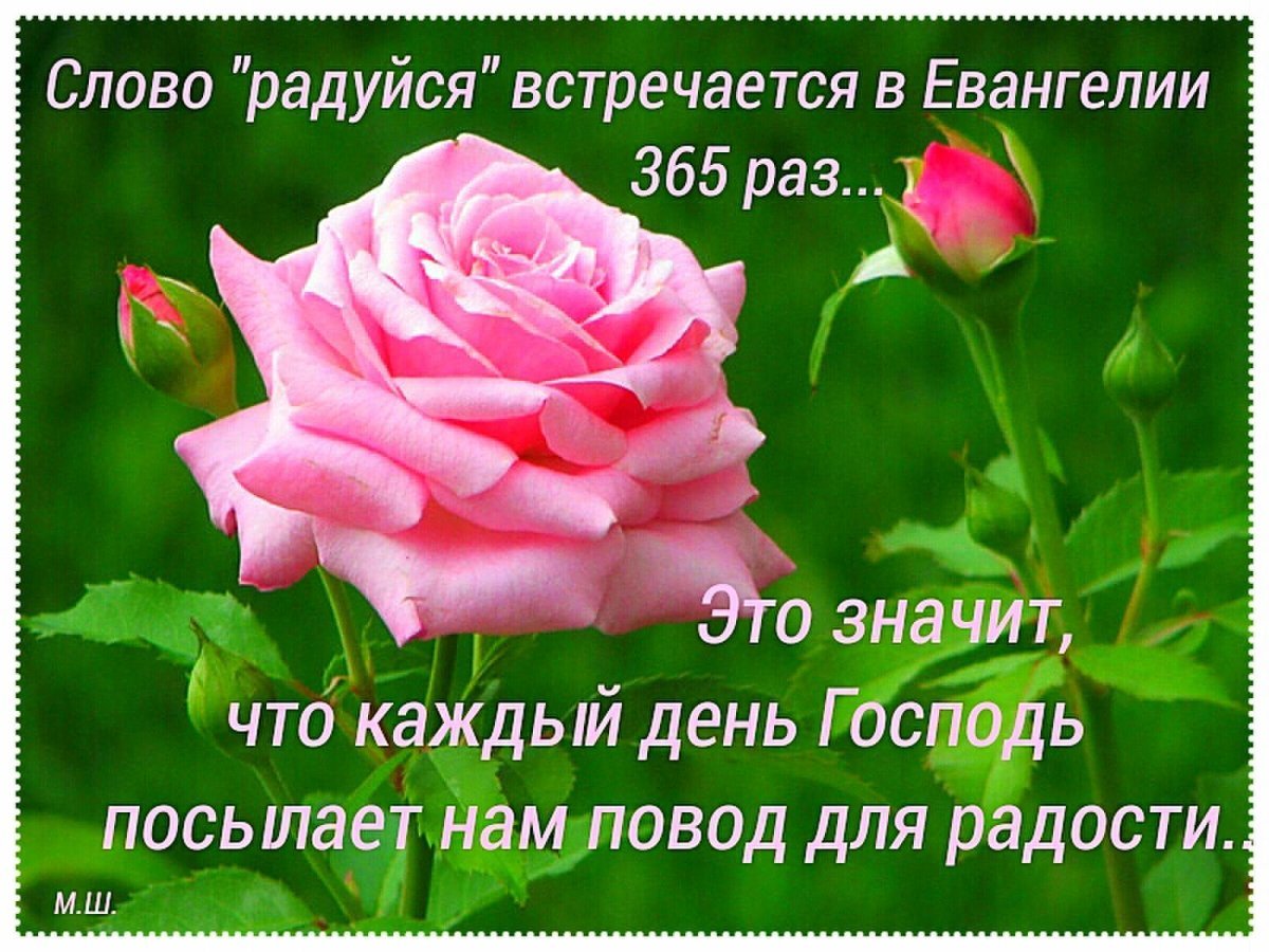 Благословения на каждый день