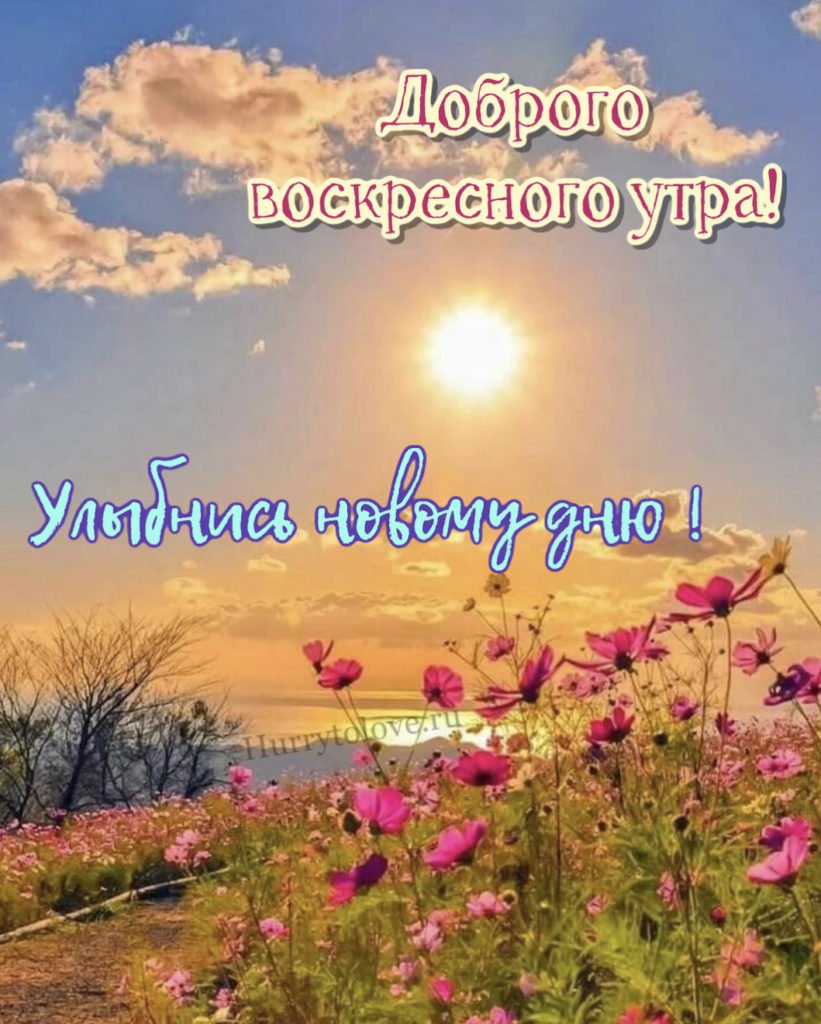 Добрый день Божьих благословений