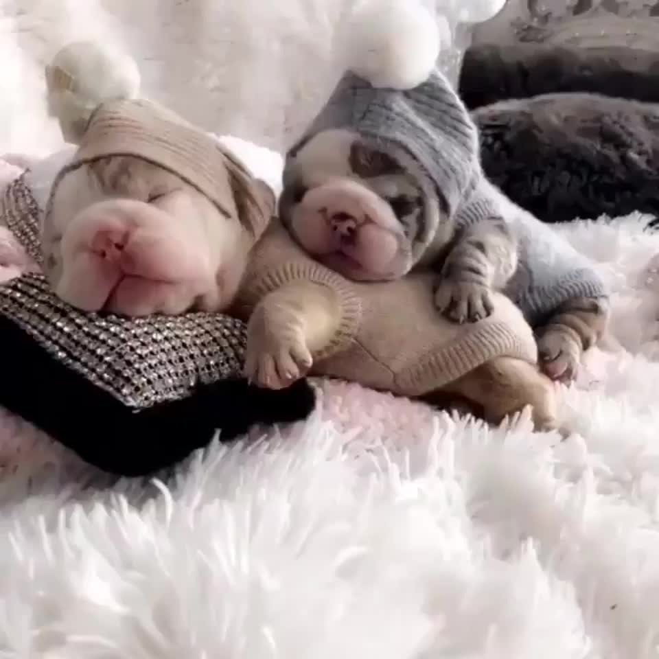 Спокойной ночи родные и любимые