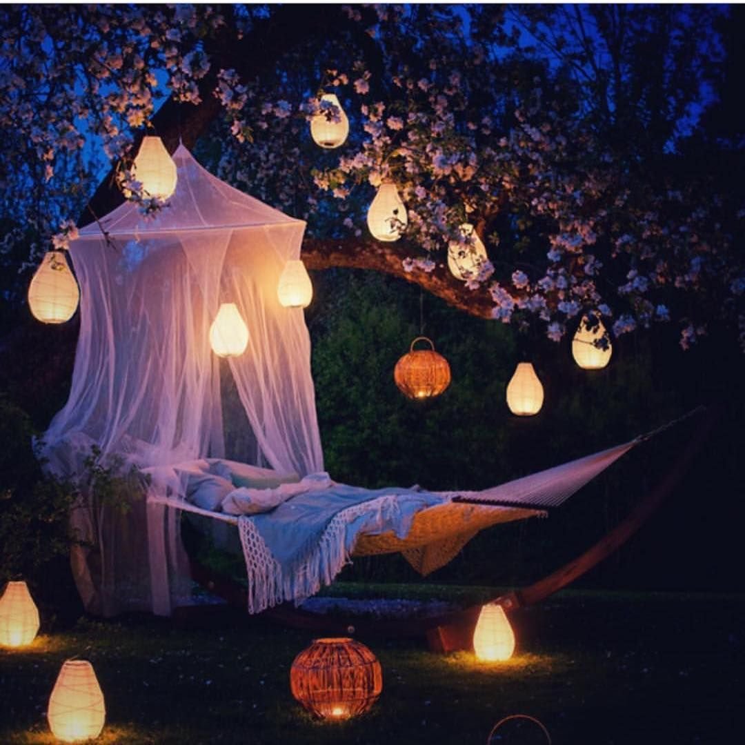 Сказочная ночь