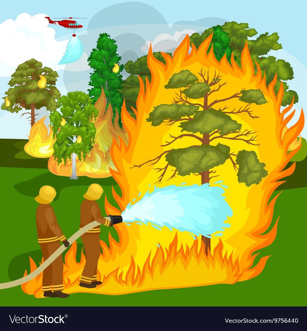 Пожар в лесу вектор