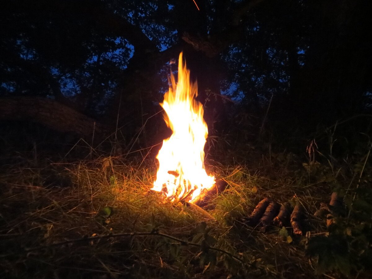 Костёр в лесу ночью