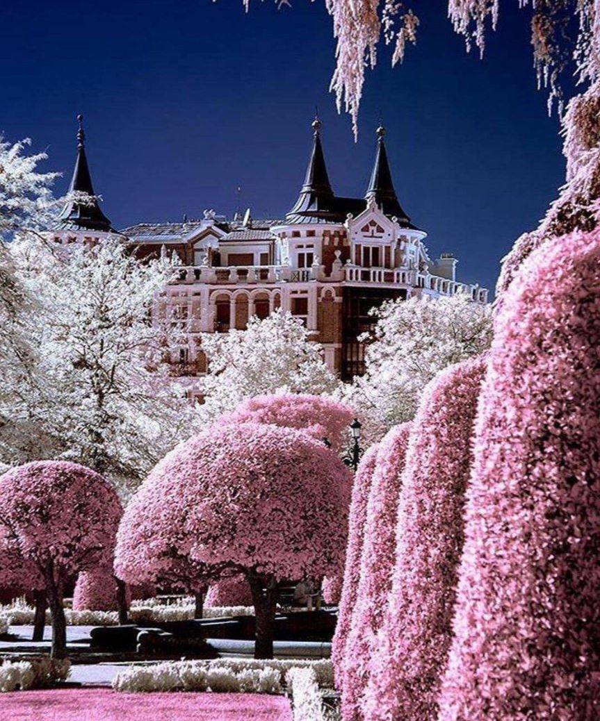 Розовый сад в Мадриде