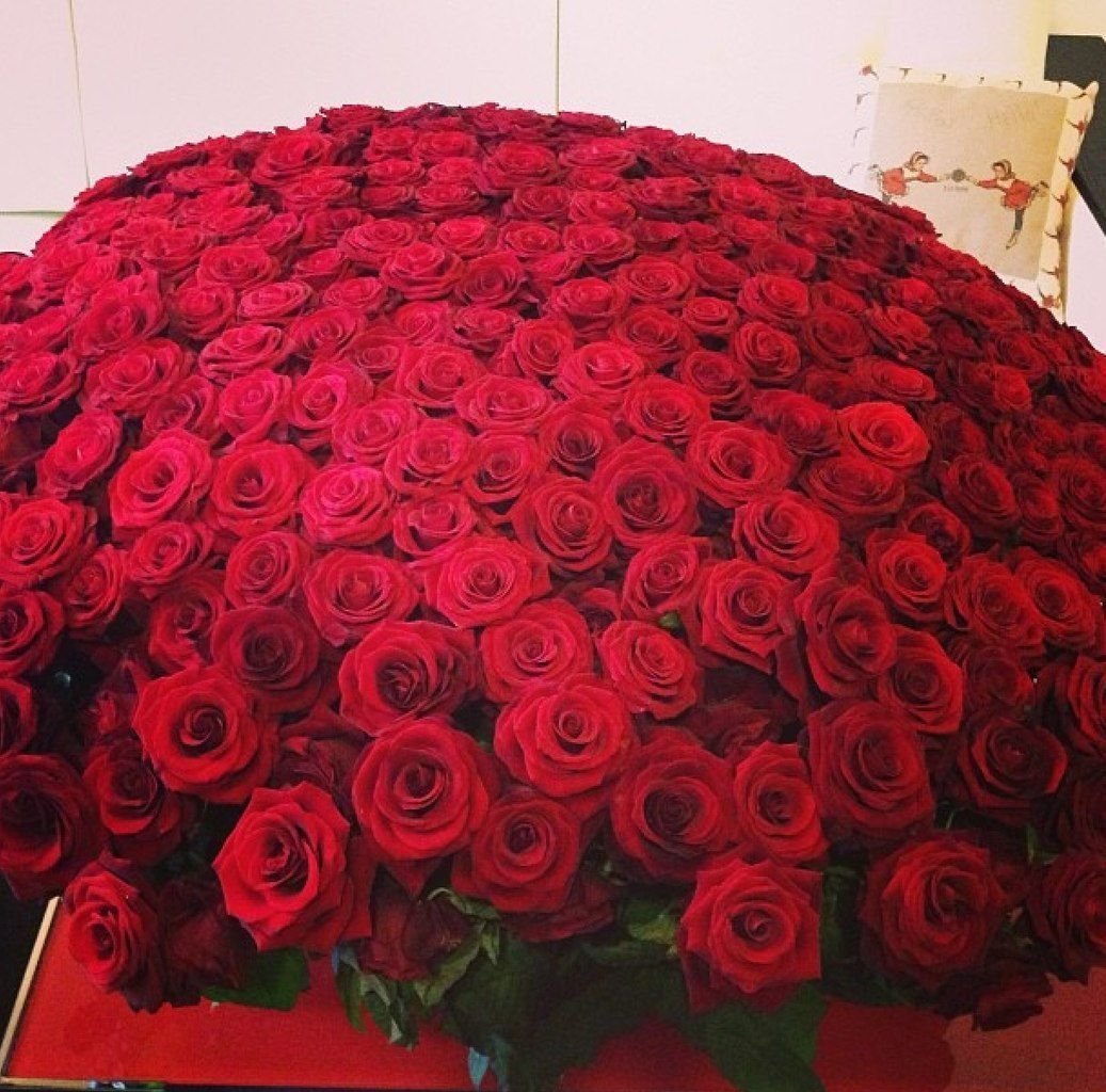 151 Роза ред Наоми