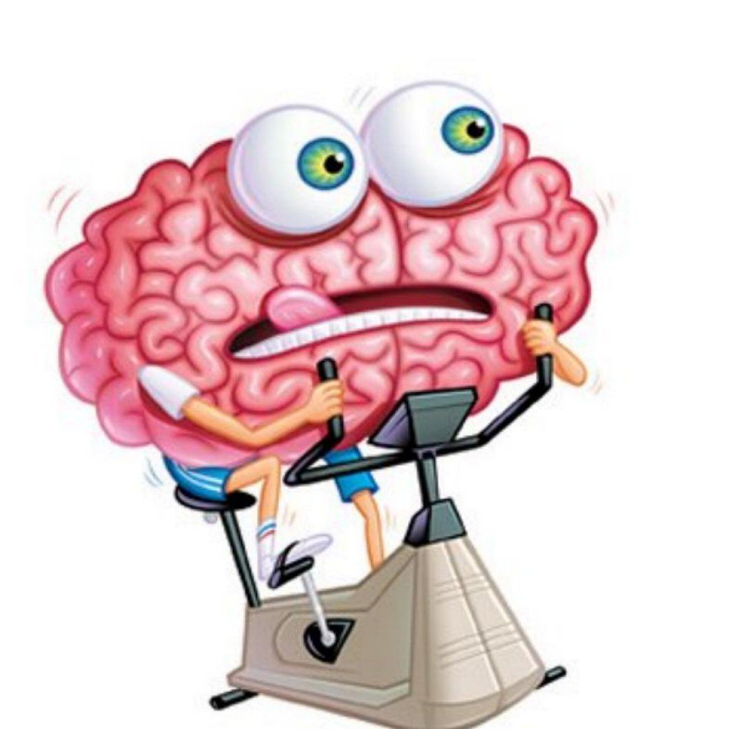 Умственная разминка