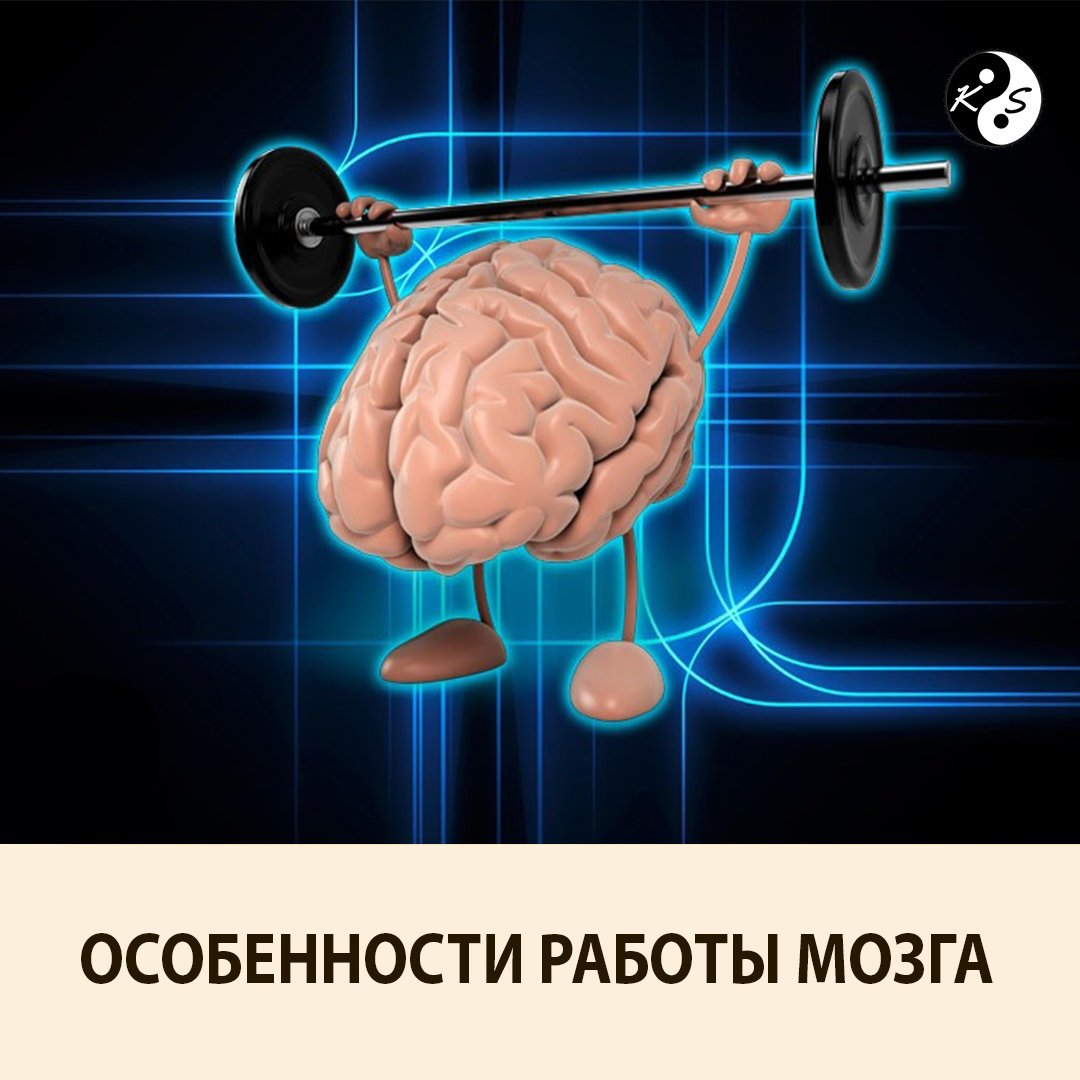 Тренировка мозга