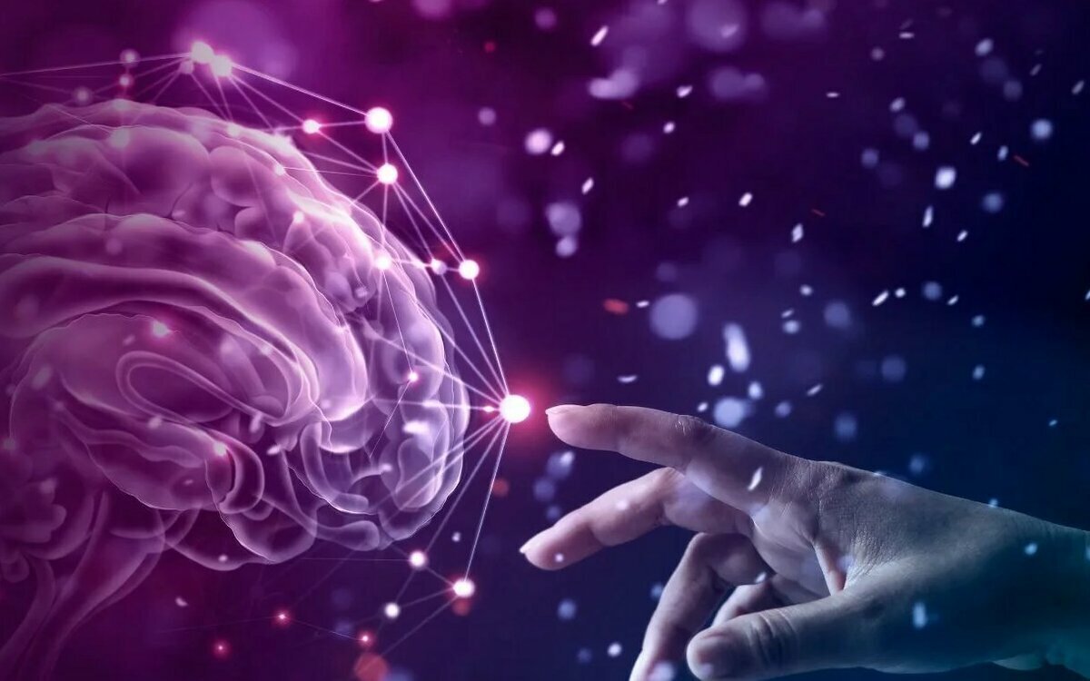 Мозг Эстетика