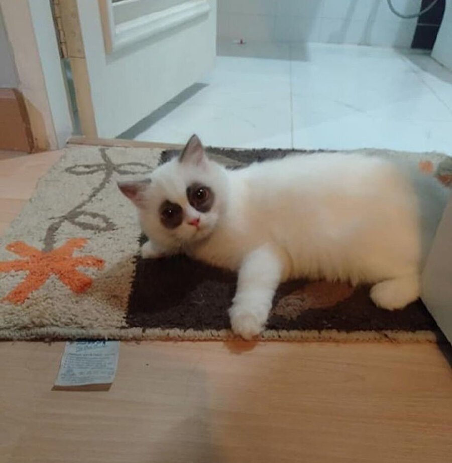 Терпеливо ждем пятницу