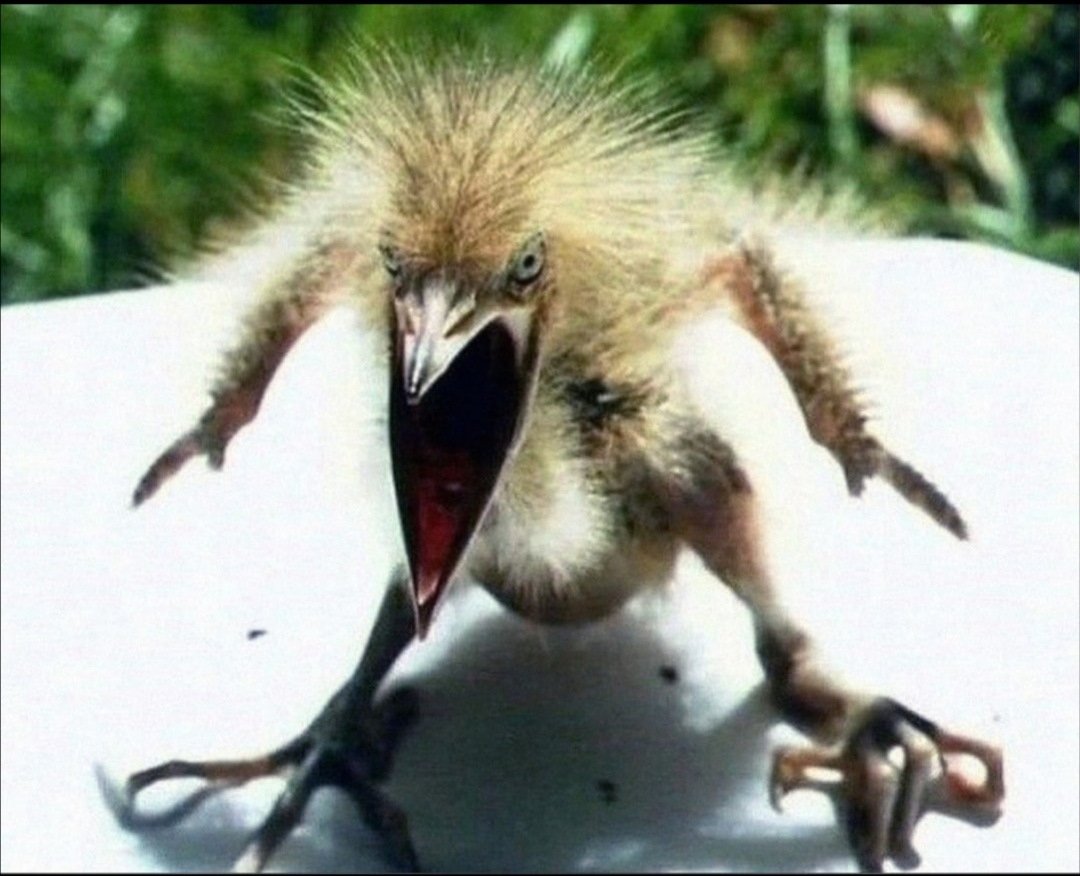 Уставшая медсестра