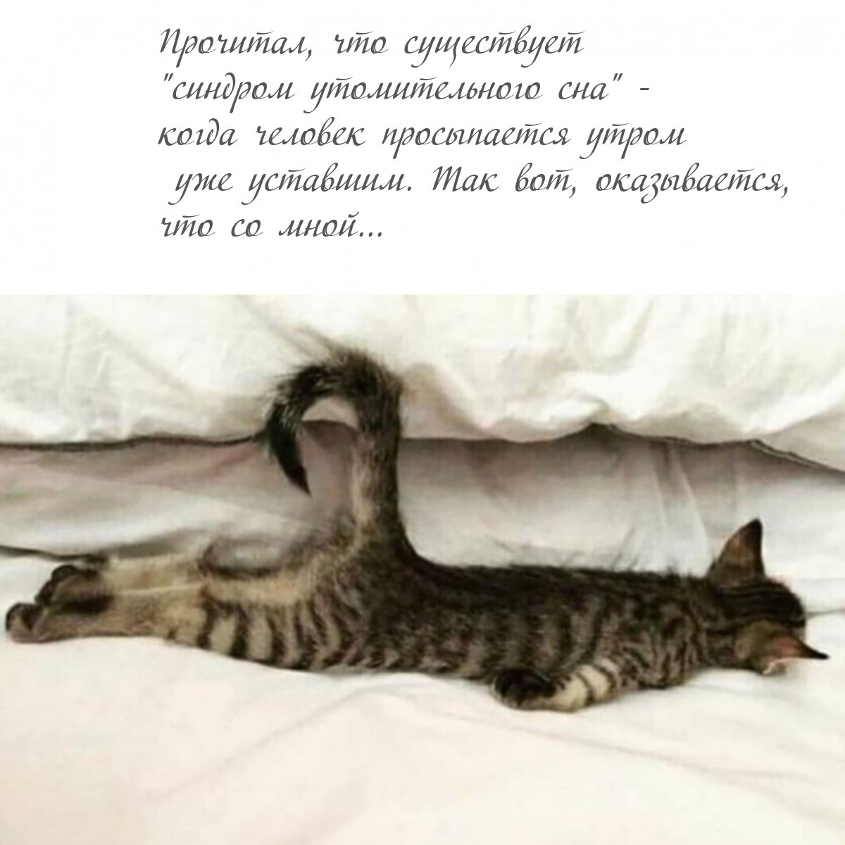 Отпуск прикол