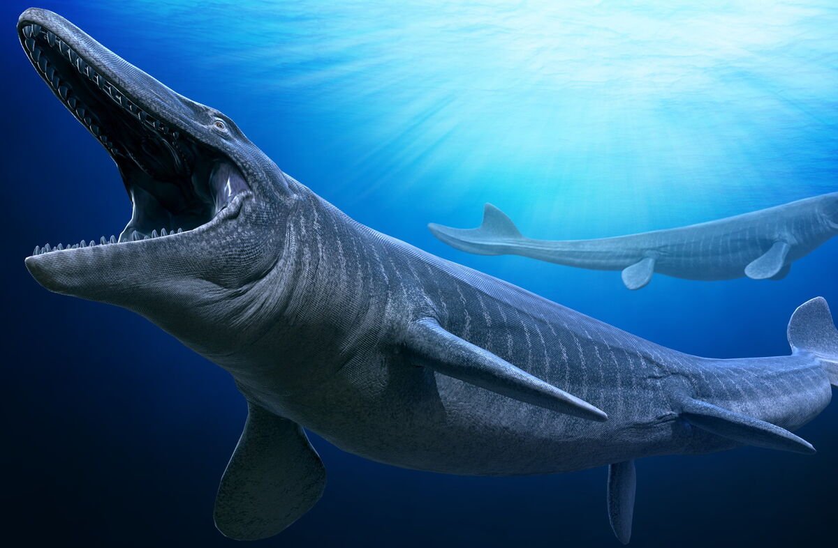 Акула Мозазавр