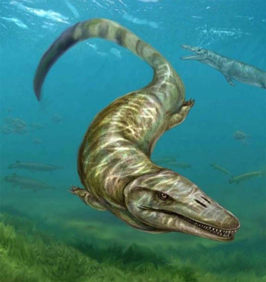 Мозазавры мелового периода