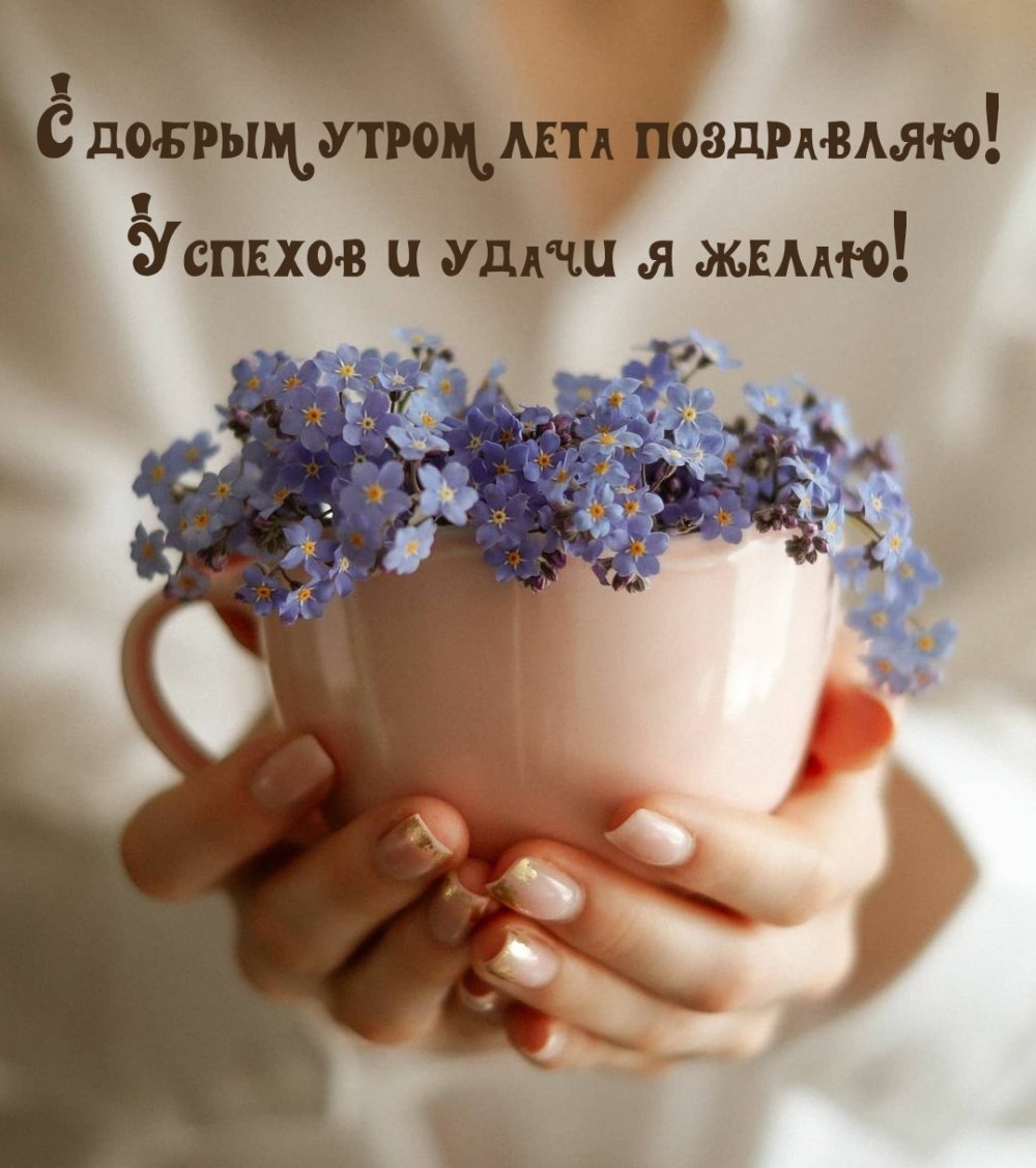 Утренняя Эстетика