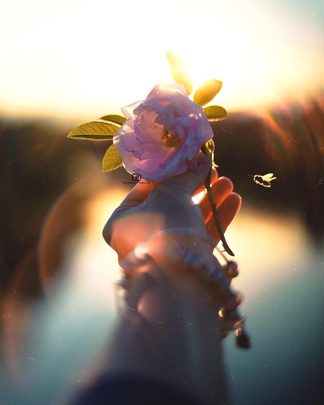 Позитив для души