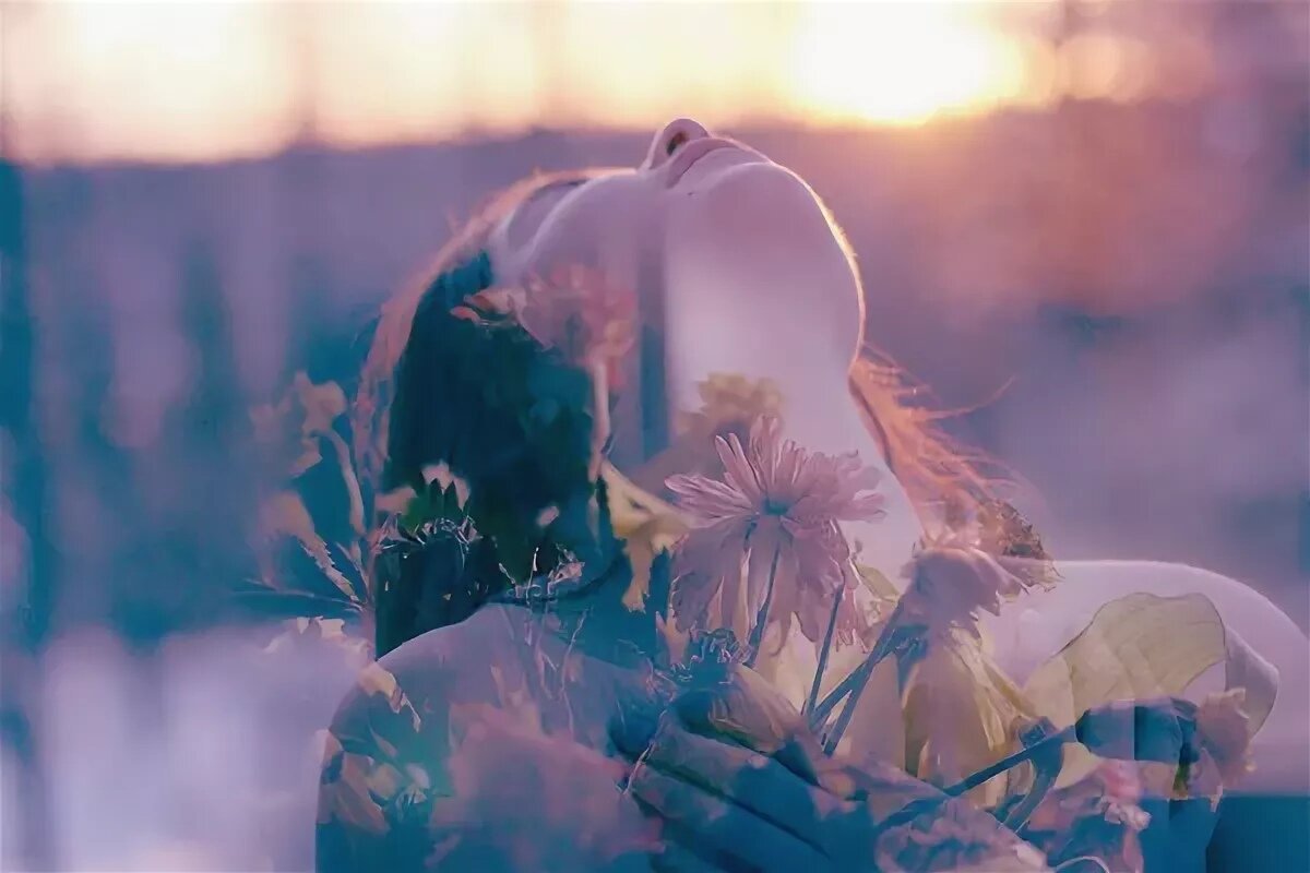 Художник Виллем Хайенраетс