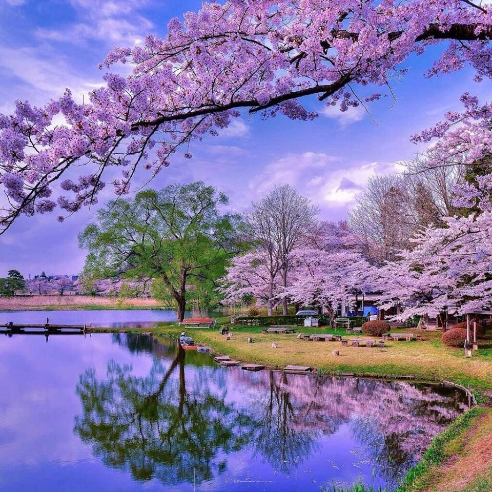 Весенний пейзаж