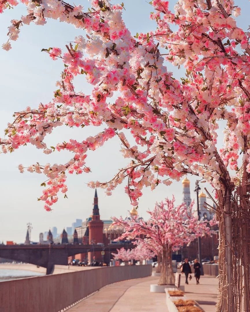 Весна в городе