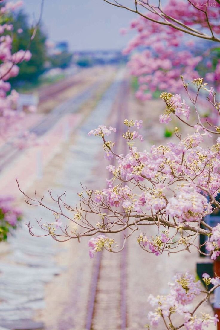 Весна в пастельных тонах