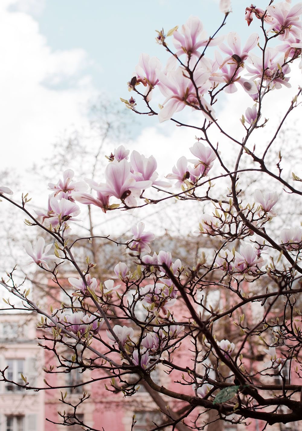 Весенняя Эстетика