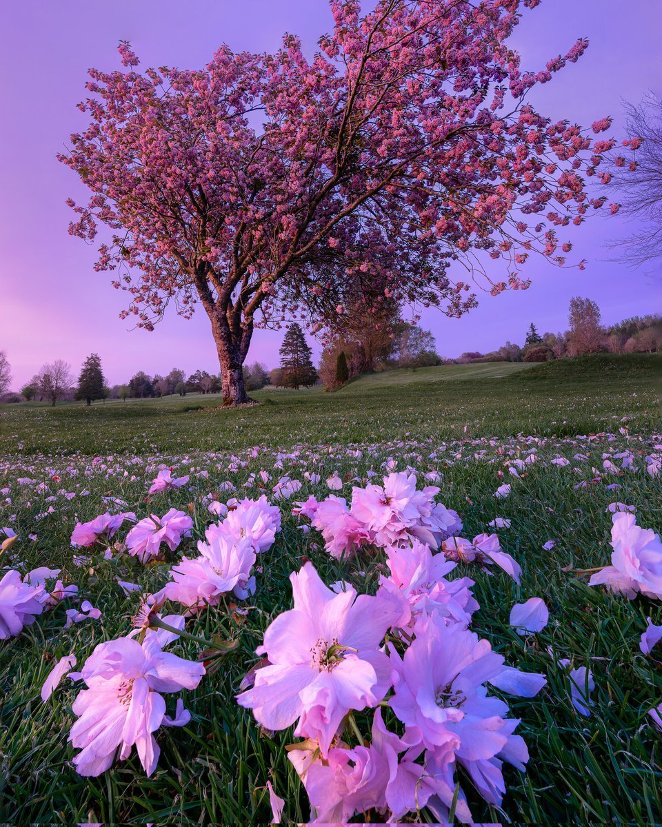 Весенние пейзажи на рабочий стол