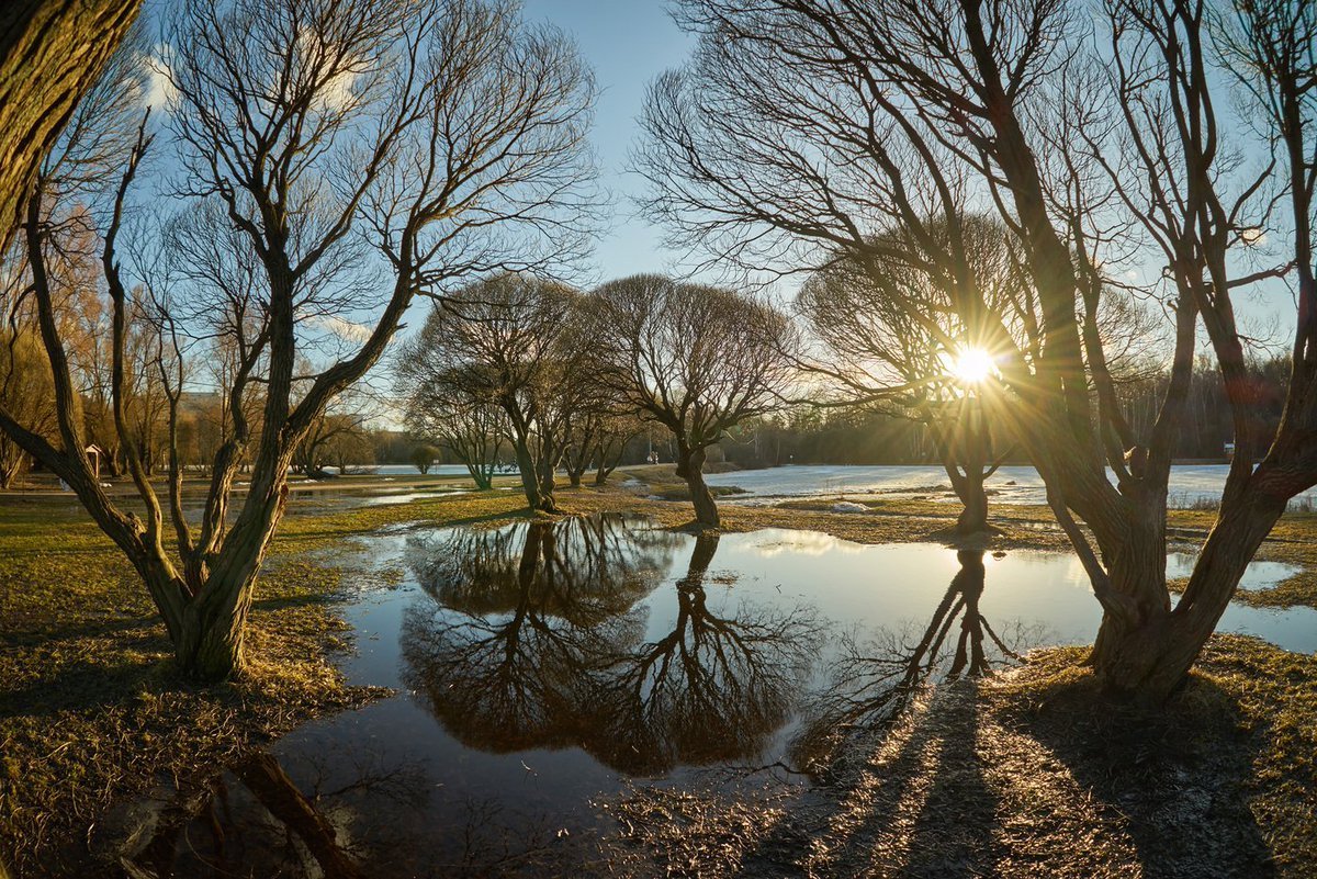 Природа ранней весной