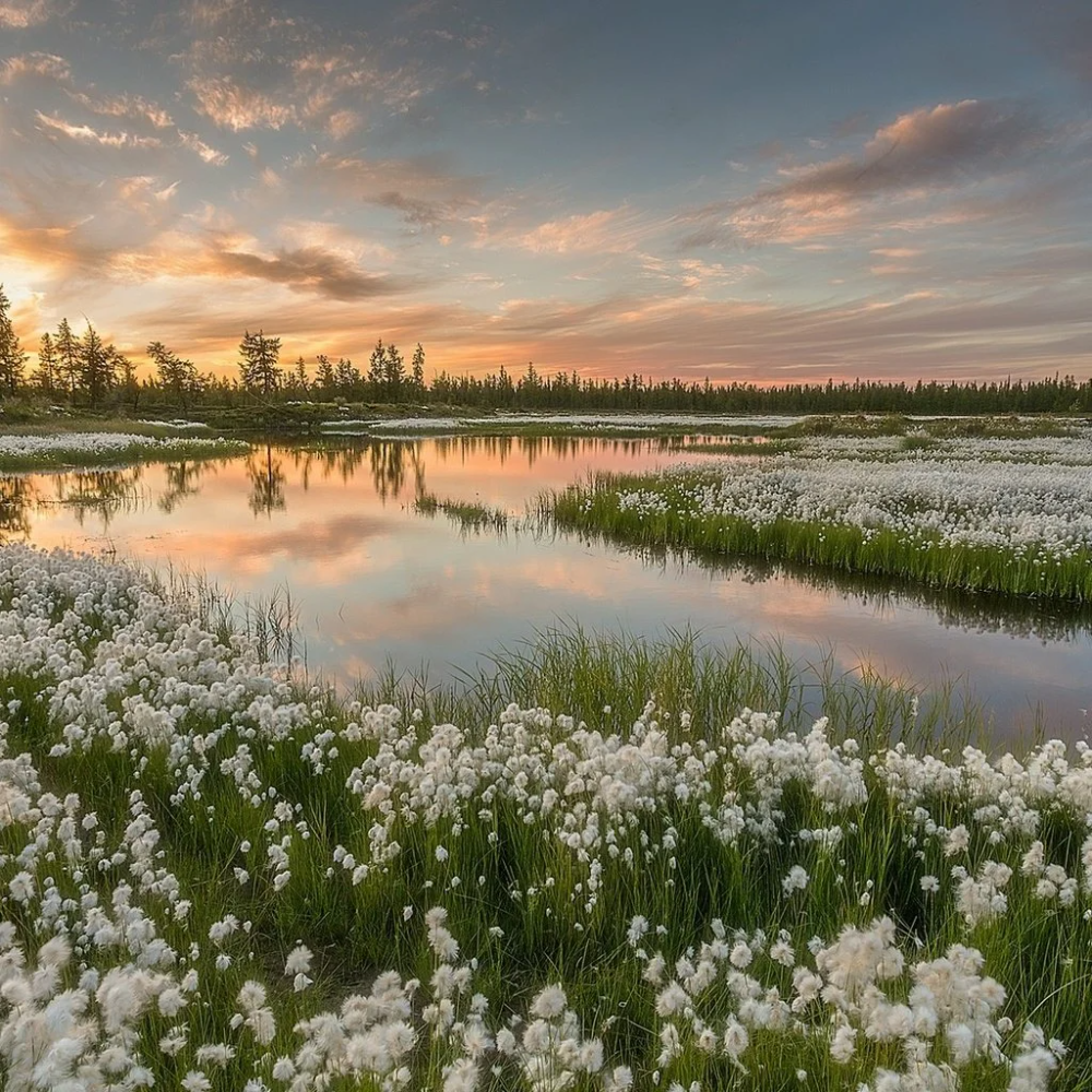 Весна в России