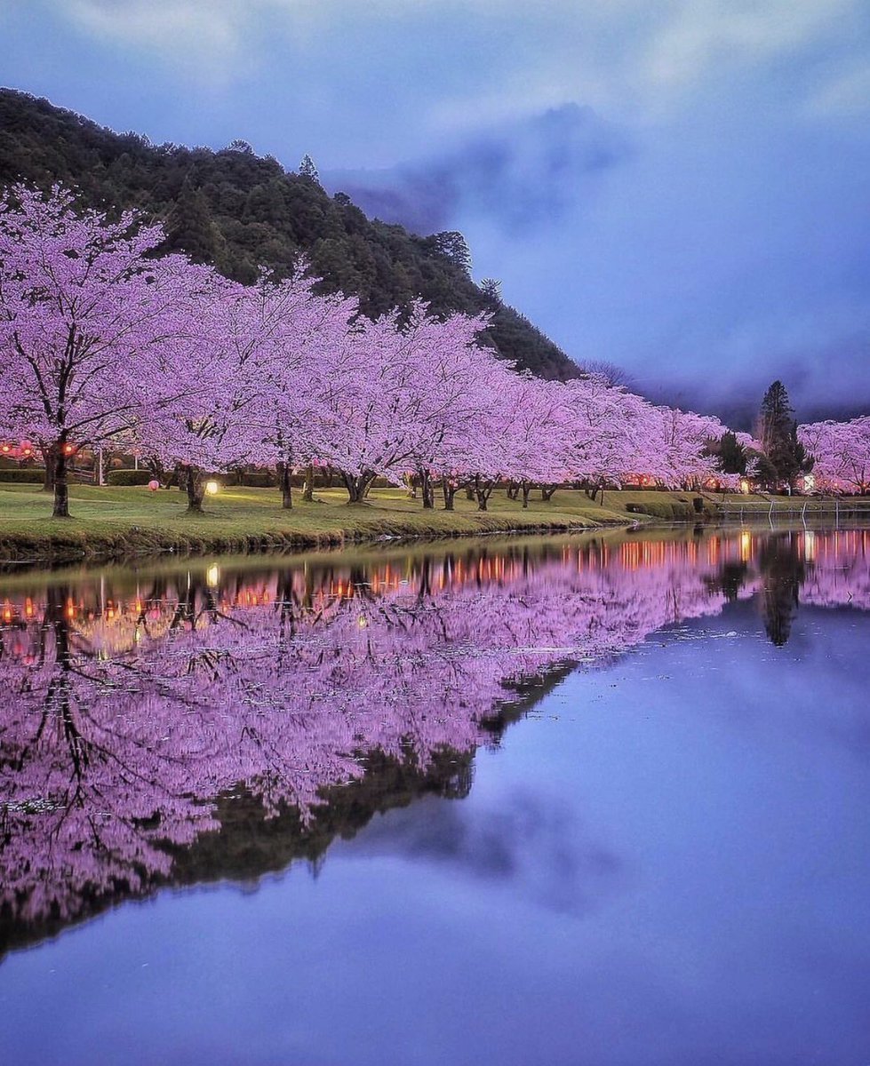 Красивые пейзажи весны