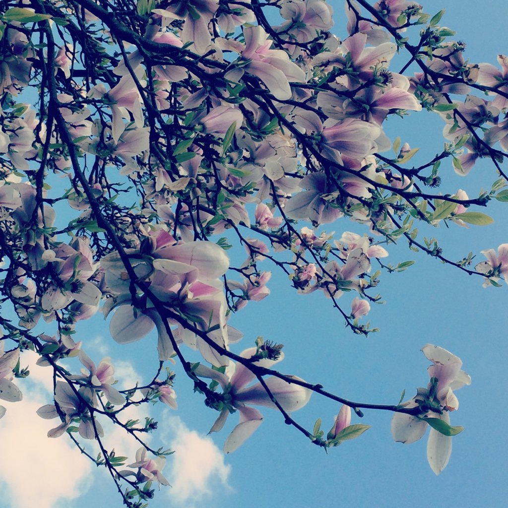 Нежная Весна Эстетика