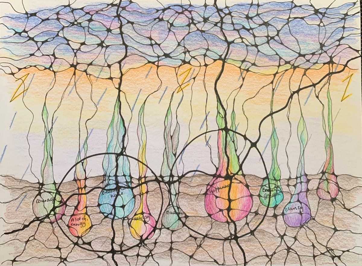 Арт терапия Нейрографика