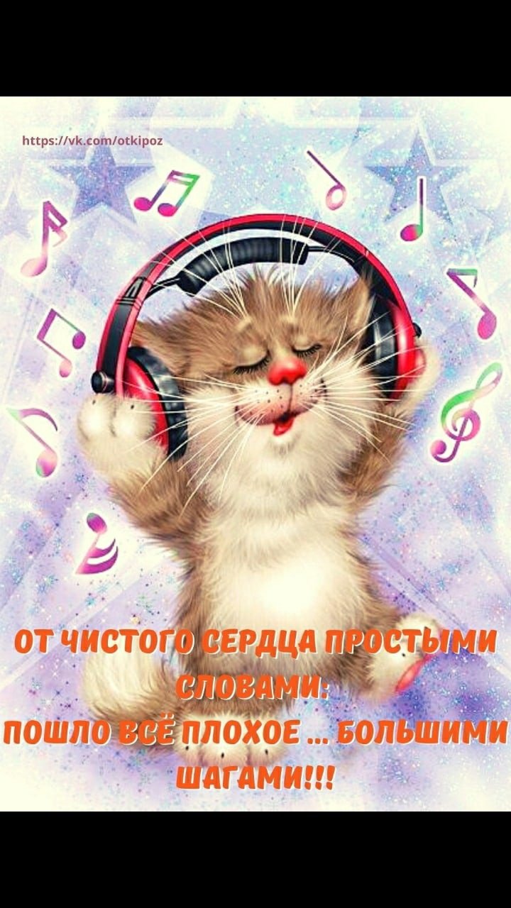 Хорошего дня котик