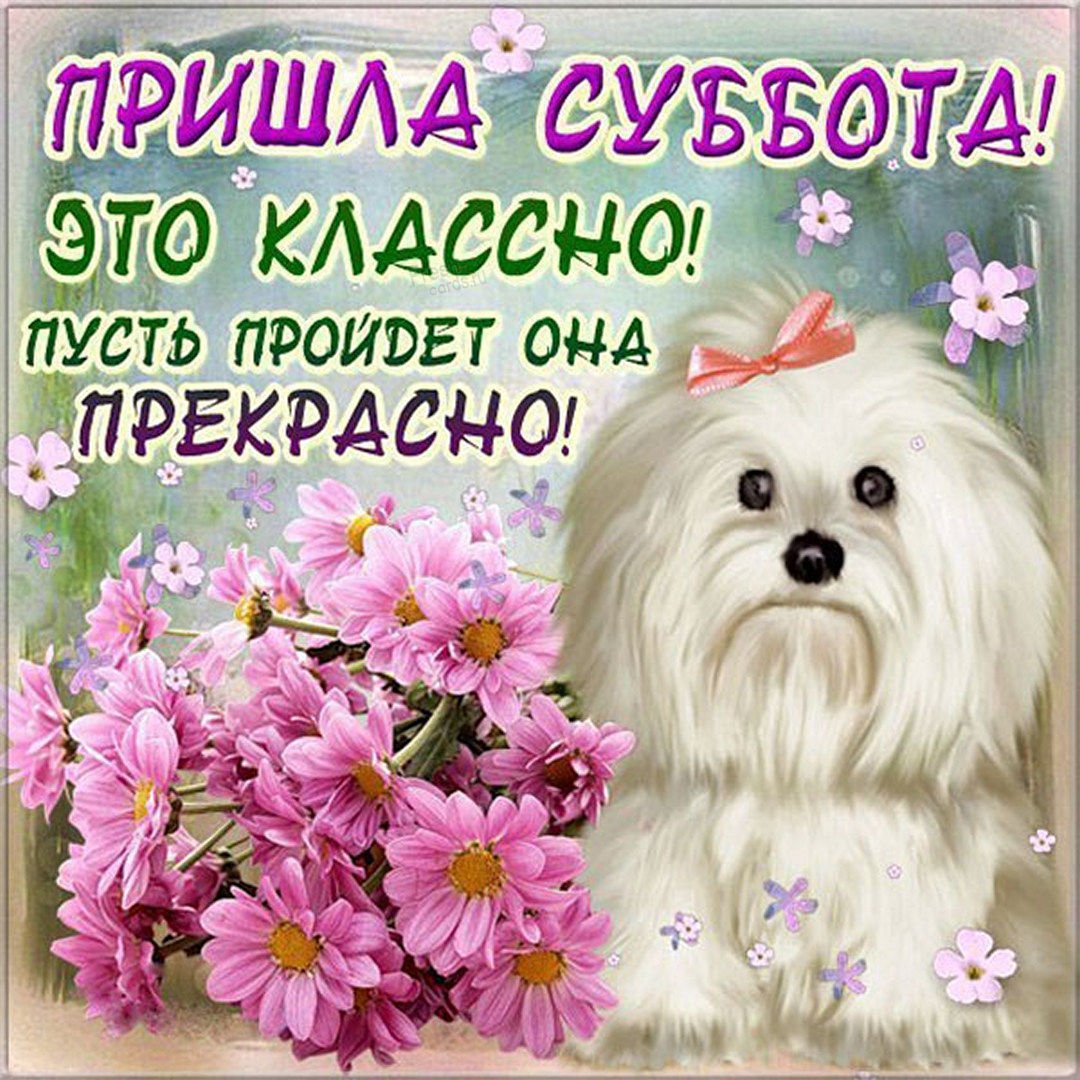 Доброе субботнее утро