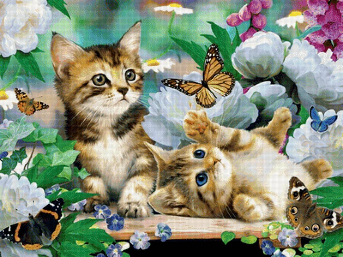 С днем рождения котенок