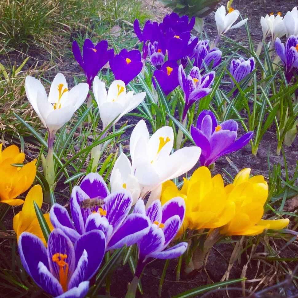 Доброго весеннего вечера