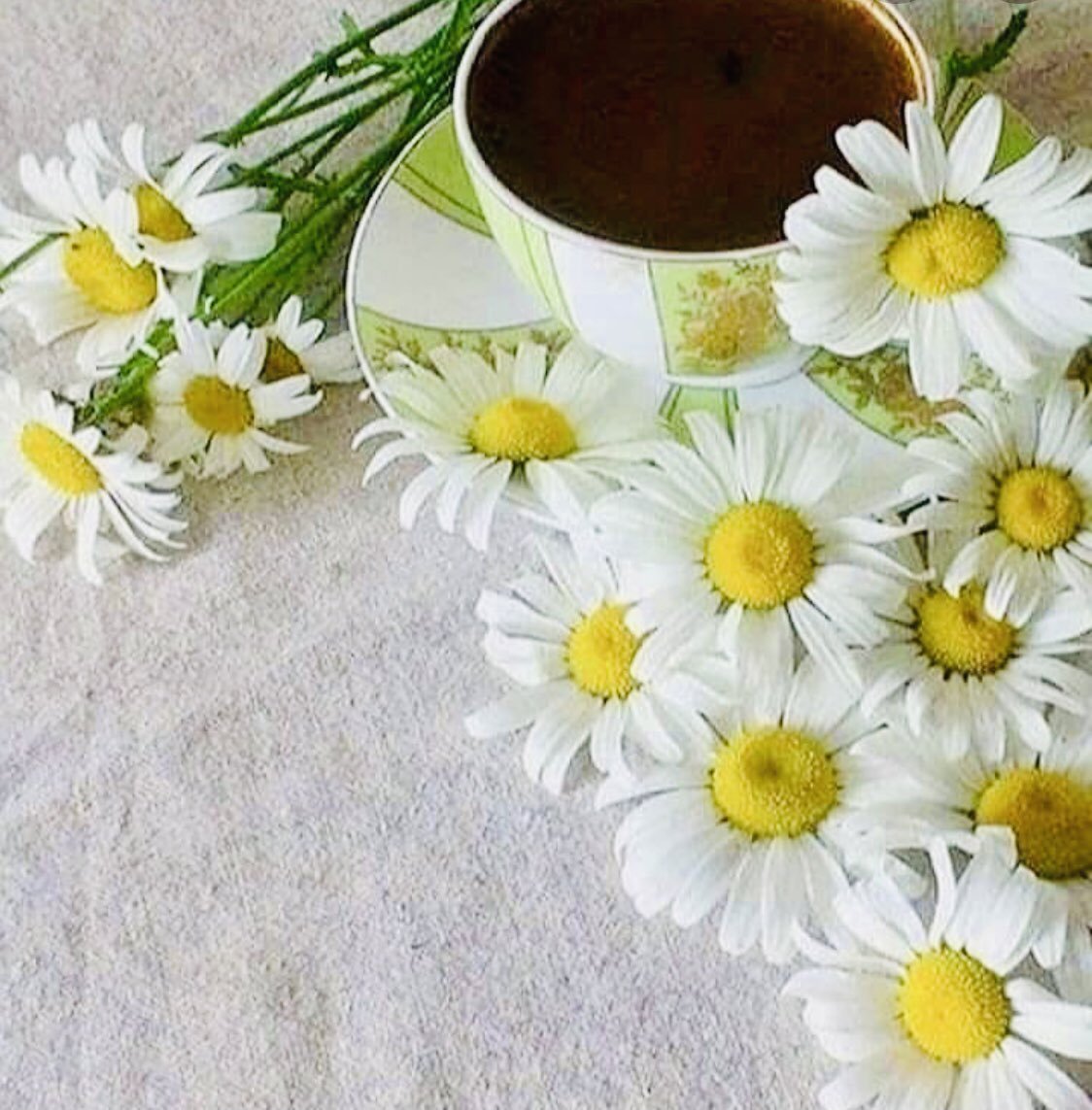 Чашка кофе и ромашки