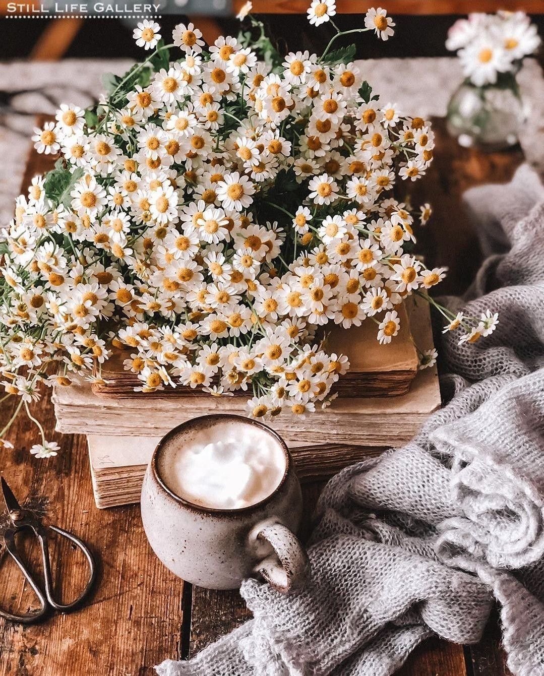 Букет ромашек и кофе