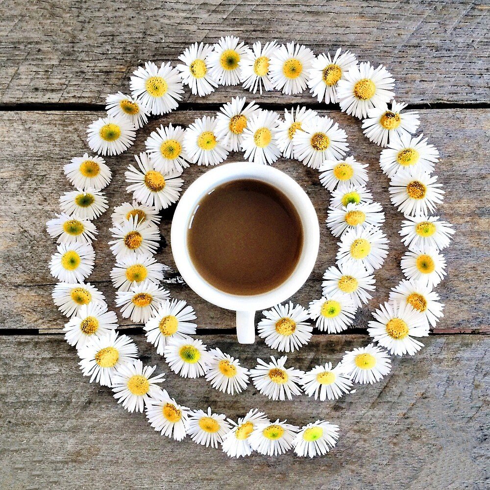 Утро кофе ромашки