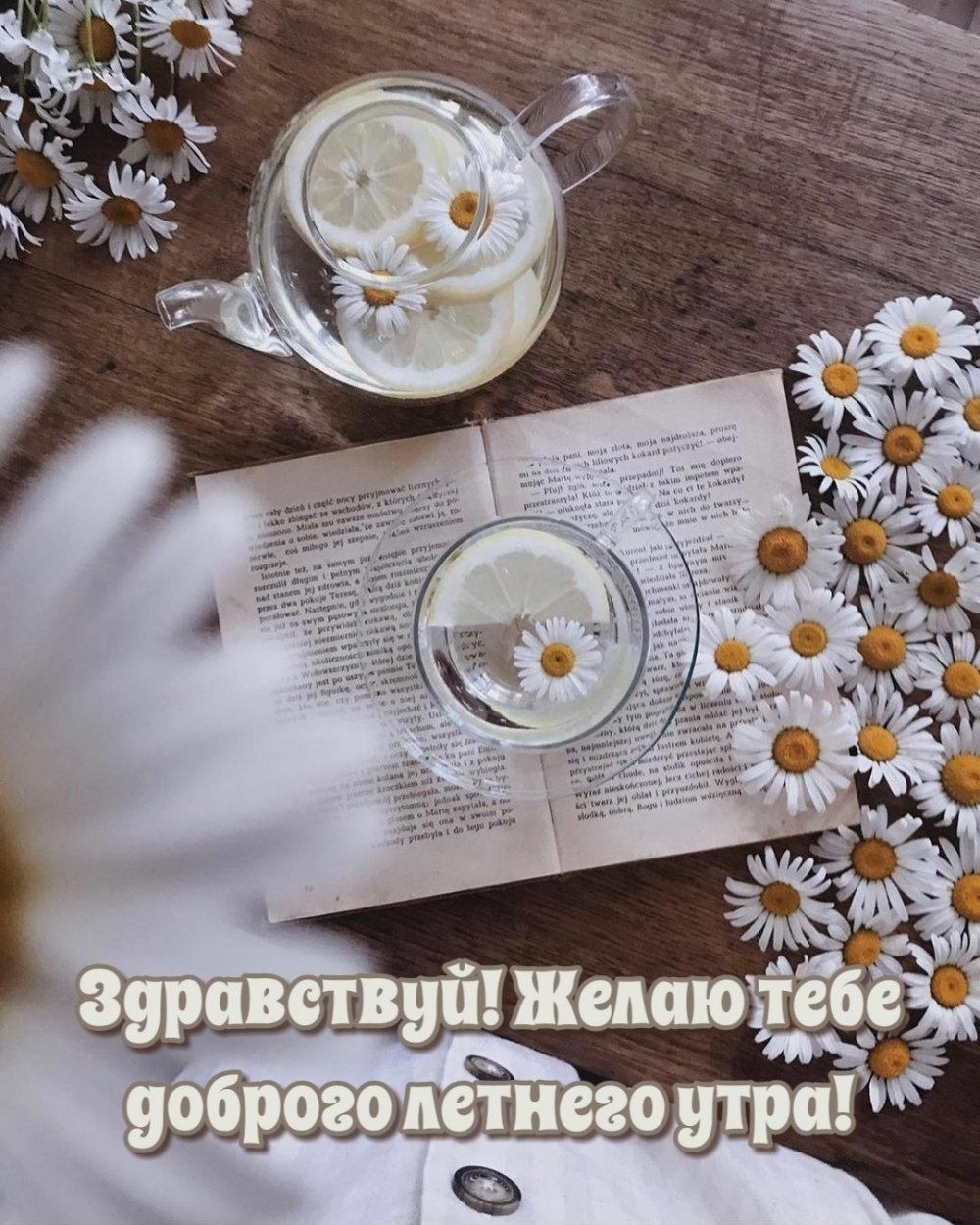 Ромашки Эстетика