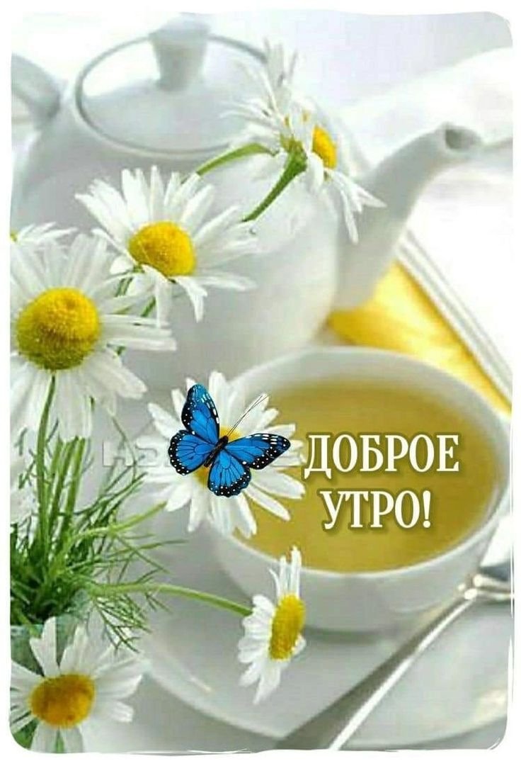 Доброе утро чай ромашки