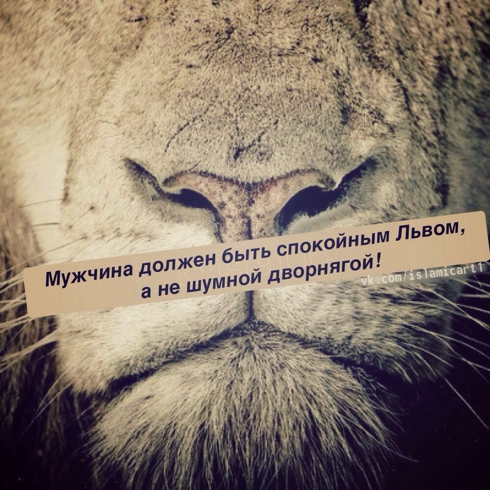 Открытки со смыслом