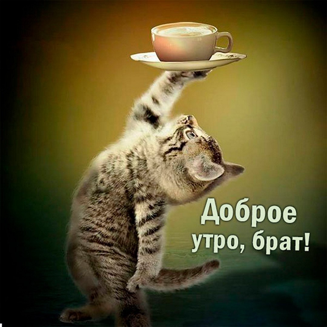 Позитивные открытки с добрым утром