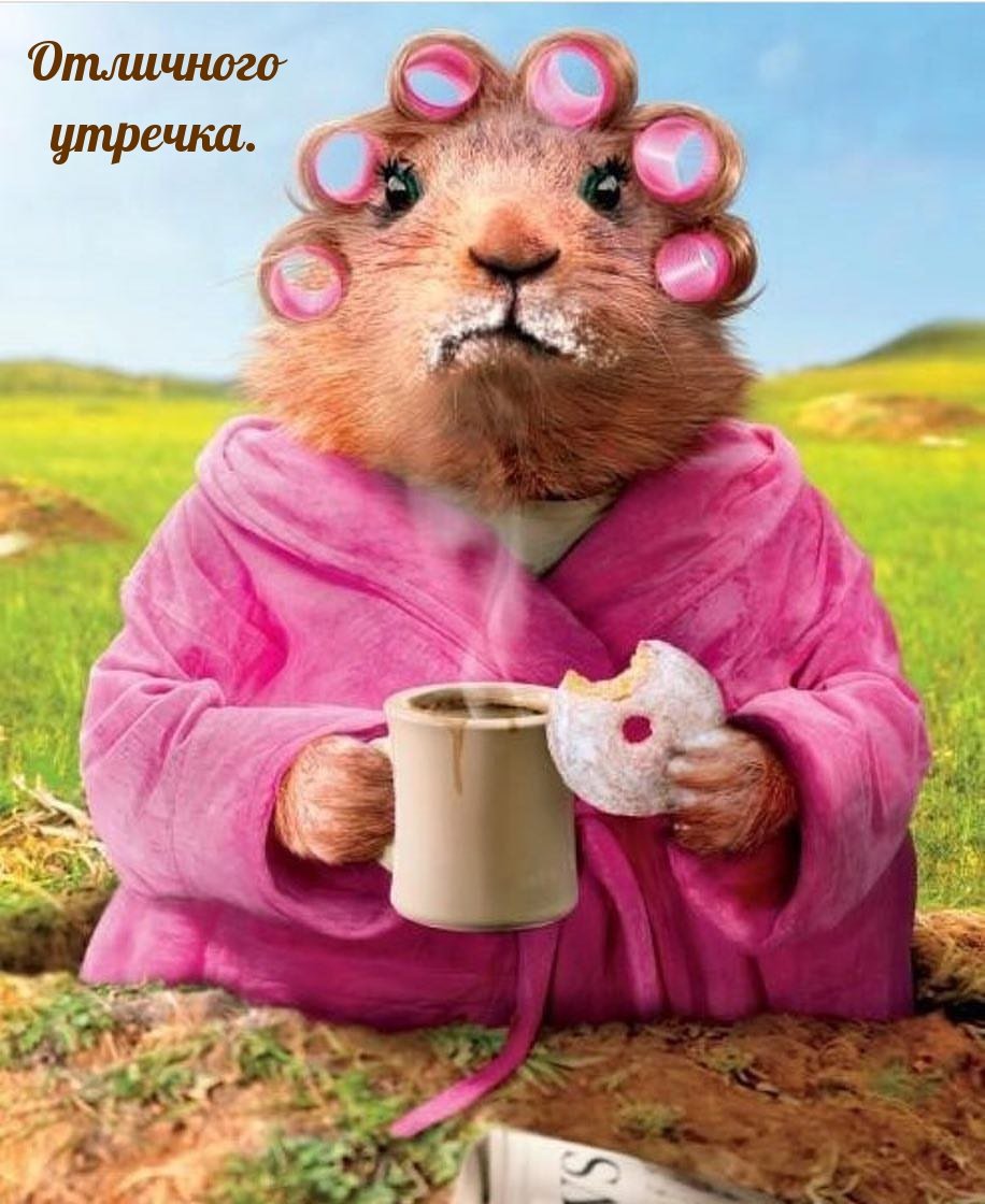 Позитивные открытки на каждый день